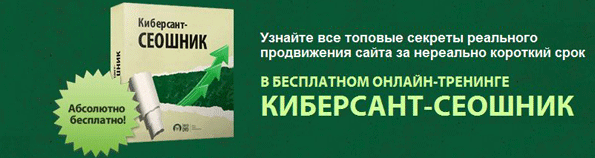 Киберсант-СЕОшник